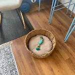 شقة Boho Am Hafen,mit Fahrradern *